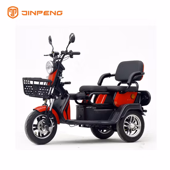 Motorcycle 3 Wheel for Delivery Truck 300cc Fat Tire Battery 3wheel Parts EEC Controller Trailer Motor Adults Electric Tricycle