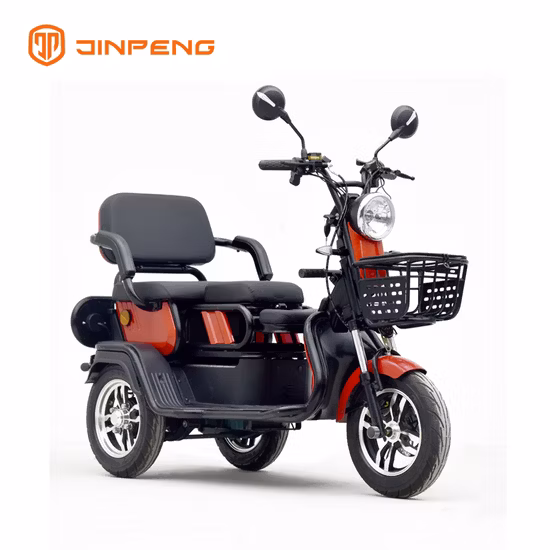 Motorcycle 3 Wheel for Delivery Truck 300cc Fat Tire Battery 3wheel Parts EEC Controller Trailer Motor Adults Electric Tricycle