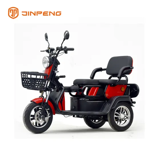 Motorcycle 3 Wheel for Delivery Truck 300cc Fat Tire Battery 3wheel Parts EEC Controller Trailer Motor Adults Electric Tricycle
