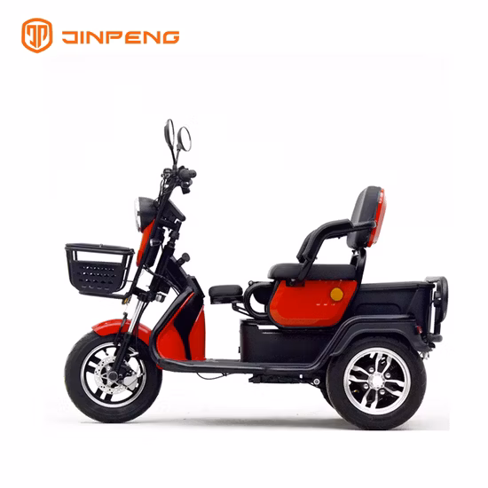 Motorcycle 3 Wheel for Delivery Truck 300cc Fat Tire Battery 3wheel Parts EEC Controller Trailer Motor Adults Electric Tricycle