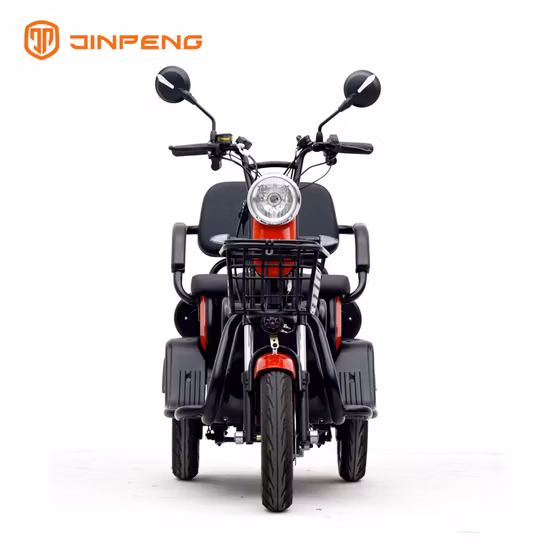 Motorcycle 3 Wheel for Delivery Truck 300cc Fat Tire Battery 3wheel Parts EEC Controller Trailer Motor Adults Electric Tricycle