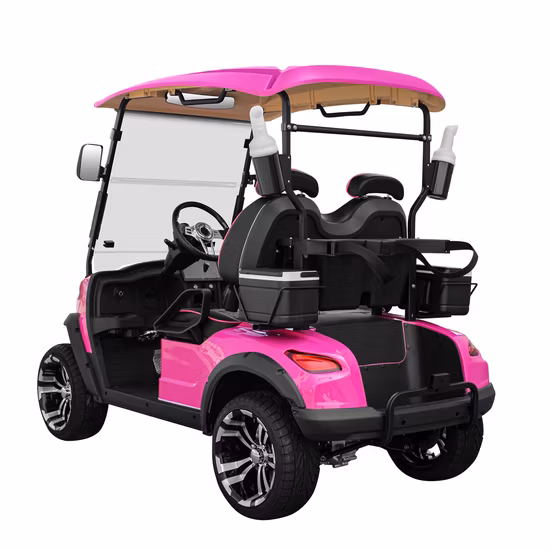 Carrinho de carrinho de golfe esportivo de cor personalizada gratuita, bateria por atacado LSV 4 rodas, 2 passageiros, carro elétrico pequeno, mini carro com assento único de luxo