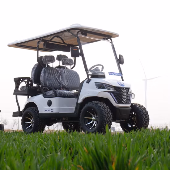 Carrinho de golfe com motor chinês 48V/72V levantado lítio 6 lugares Club Car para adultos