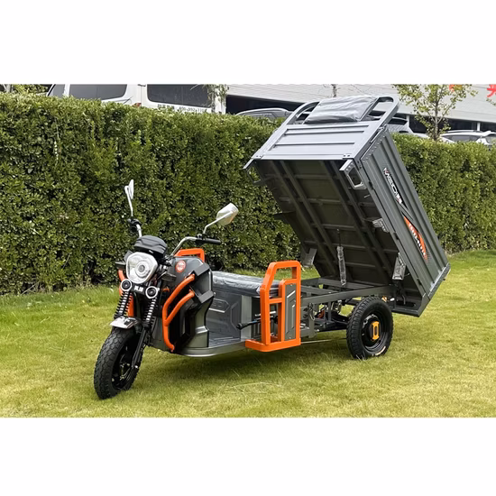 Novo triciclo elétrico fechado com aprovação de motor L6e de 1500 W para idosos