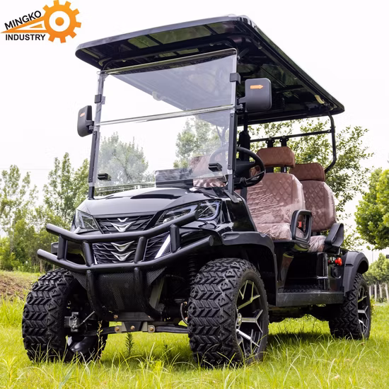 Pronto para enviar minicarrinho de golfe elétrico de 2 assentos com bateria de 48V
